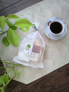 P1000623.jpg